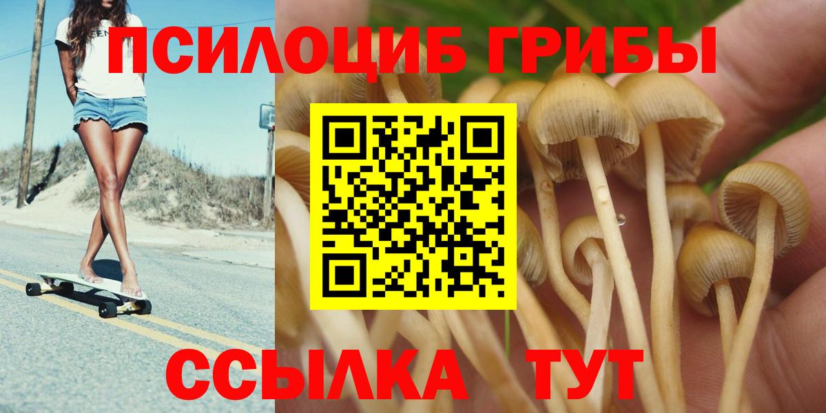 Псилоцибиновые грибы GOLDEN TEACHER  Вход с VPN  Кызыл  Галлюциногенные грибы MAGIC MUSHROOMS 